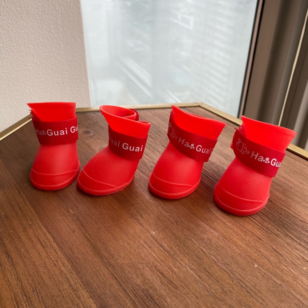 Dog shoes. Size M. Rain boots for small breed dog